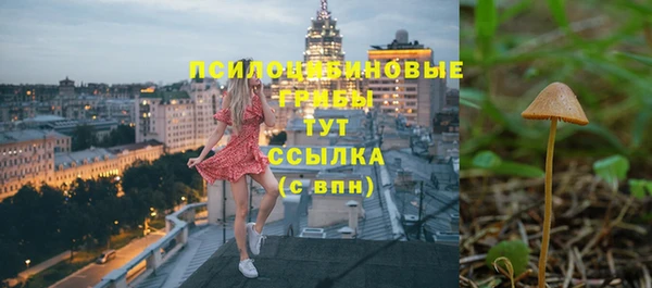 бошки Аркадак
