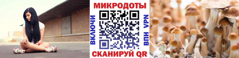 купить наркоту  Буй  Галлюциногенные грибы ЛСД 